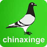 中国信鸽信息网手机端官网