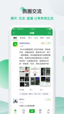 中国信鸽信息网手机端官网