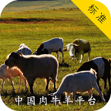 中国肉类网客服指定官网