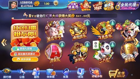 大丰棋牌官方版app
