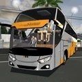ovilex巴士模拟2021,模拟