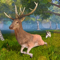 鹿模拟器：动物生活,动物模拟