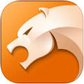 猎豹浏览器下载,猎豹浏览器下载,猎豹浏览器iphone版,手机浏览器