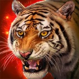 老虎模拟狩猎3D,生存