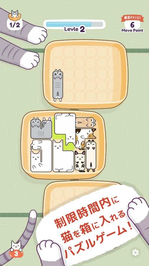猫猫盒