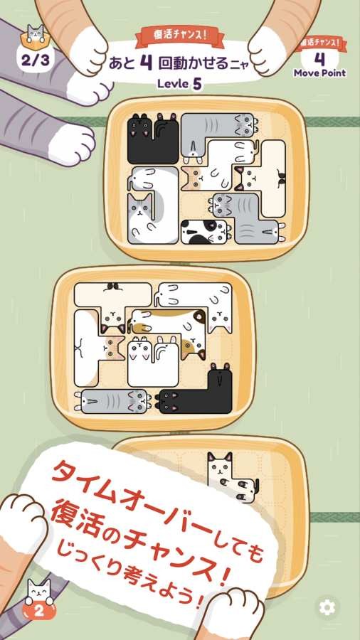 猫猫盒
