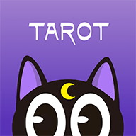 Tarot cat（塔罗猫）