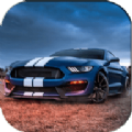 Mustang Driving&Parking（野马驾驶停车）