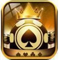 q8电玩app官方版