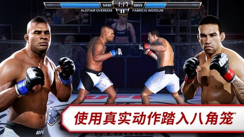 UFC193097721最新版app