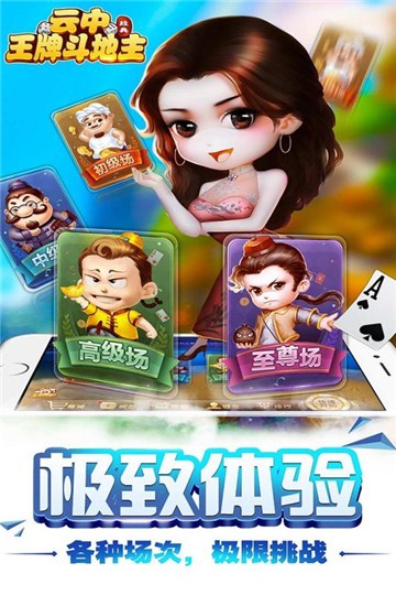 开车棋牌