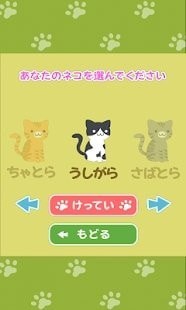 可爱猫的逆向对决最新版app