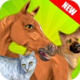 虚拟动物收容所伙伴官方版app