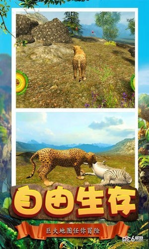 模拟猎豹生存