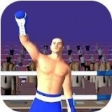 超级拳击手2官方手机版