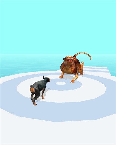 宠物跑3D官方网站