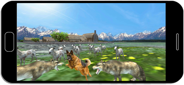牧羊犬野生动物狩猎