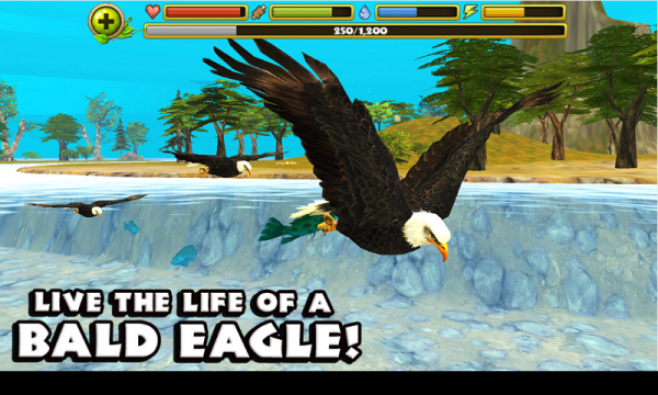 老鹰模拟器手机游戏安卓版