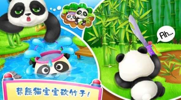 小熊猫茶园安卓版安装包下载