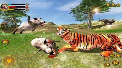 野生老虎冒险3D安卓版