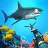 水族馆3D养鱼场手机版官网