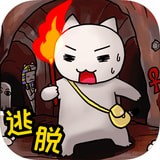 白猫的大冒险app安卓版