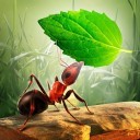 小蚂蚁啃世界