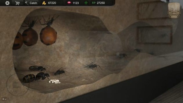 蚂蚁模拟3Dapp游戏大厅