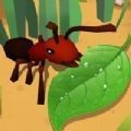 蚂蚁进化世界