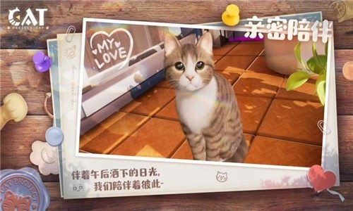 Project Cat最新版官方版