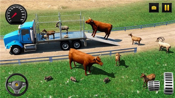 农场动物造型师