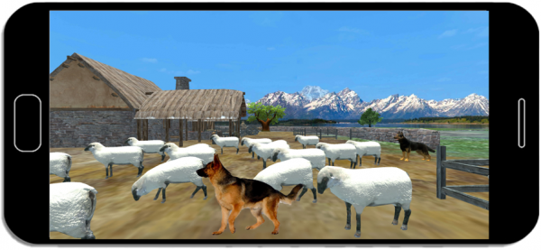 牧羊犬野生动物狩猎