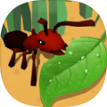 蚂蚁进化模拟器