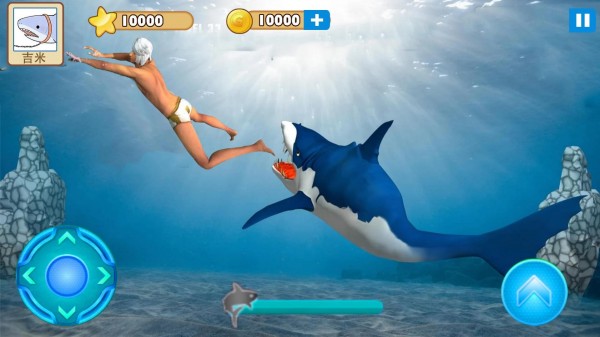 大白鲨的复仇