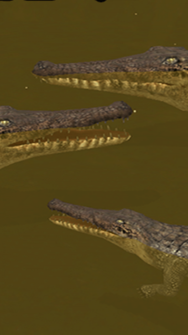 鳄鱼模拟器海滩狩猎