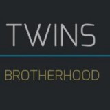 双胞胎独角兽