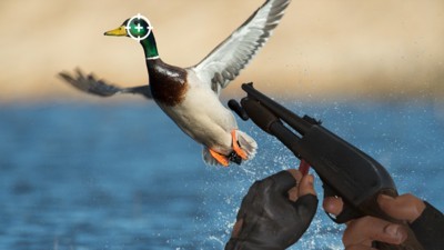 野外猎鸭模拟器手机免费版