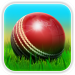板球大赛最新手机版下载