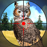 3D猫头鹰狩猎模拟手机免费版