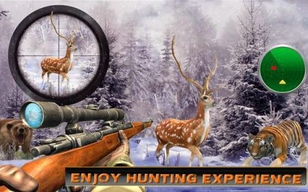 鹿狩猎野生动物狩猎