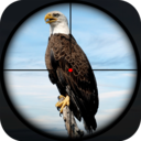 鸟类猎人狙击手官方版游戏大厅