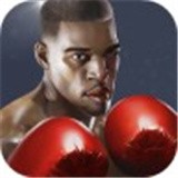 街头拳击之王官方版app