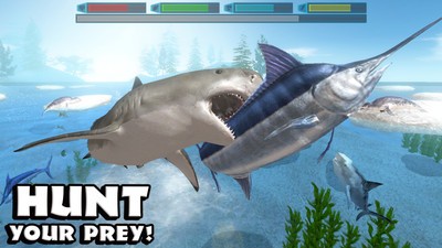 鲨鱼模拟器最新版更新