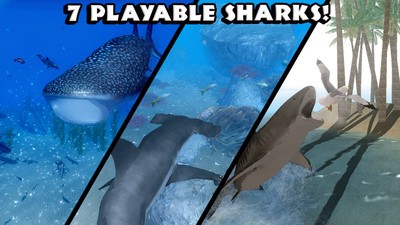 鲨鱼模拟捕猎3D客服指定官网