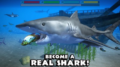 鲨鱼模拟狙击最新版官方版