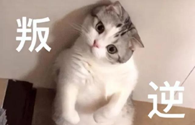 让MMO再次伟大？玩了逆水寒手游后我被这句口号逗笑了